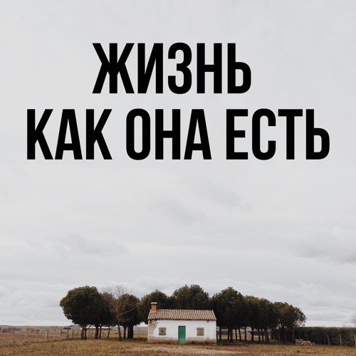 Жизнь как она есть