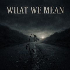 What We Mean
