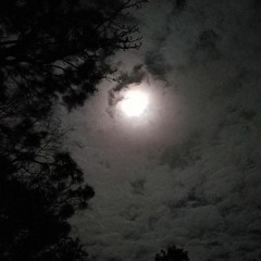 Flëur — Легион