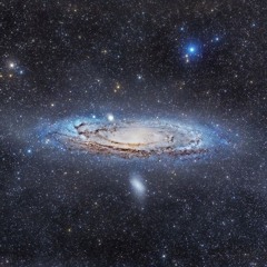 DANCEHALL DIVA | MRCHREESA PRODUCTIONS | DANCEHALL | SHATTA