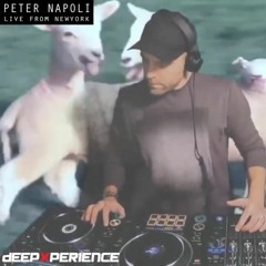 SUNDAYMOOD [Istanbul] Guest Mix: Peter Napoli