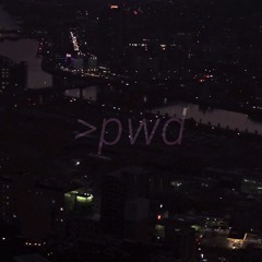 [BOFXV19] pwd
