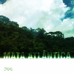 Mata Atlântica - album preview
