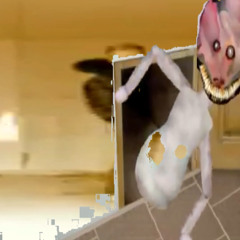 7H3r3 15 N07H1N6