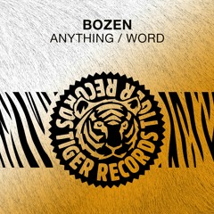 Bozen - Anything (Extended Mix)