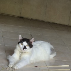 Osni Della_Hilang(Cover)