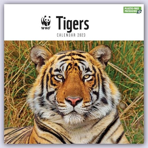 READ EBOOK 📄 Wwf Tigers Square Wall Calendar 2023 by unknown [KINDLE PDF EBOOK EPUB]