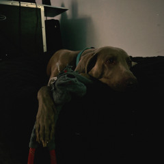 Cozy Session Vol. 9 2/5/25