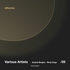Amaral Borges - Stray Dogs (Original Mix)