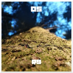 05 //