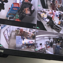 zoloft brain prod benny alexander