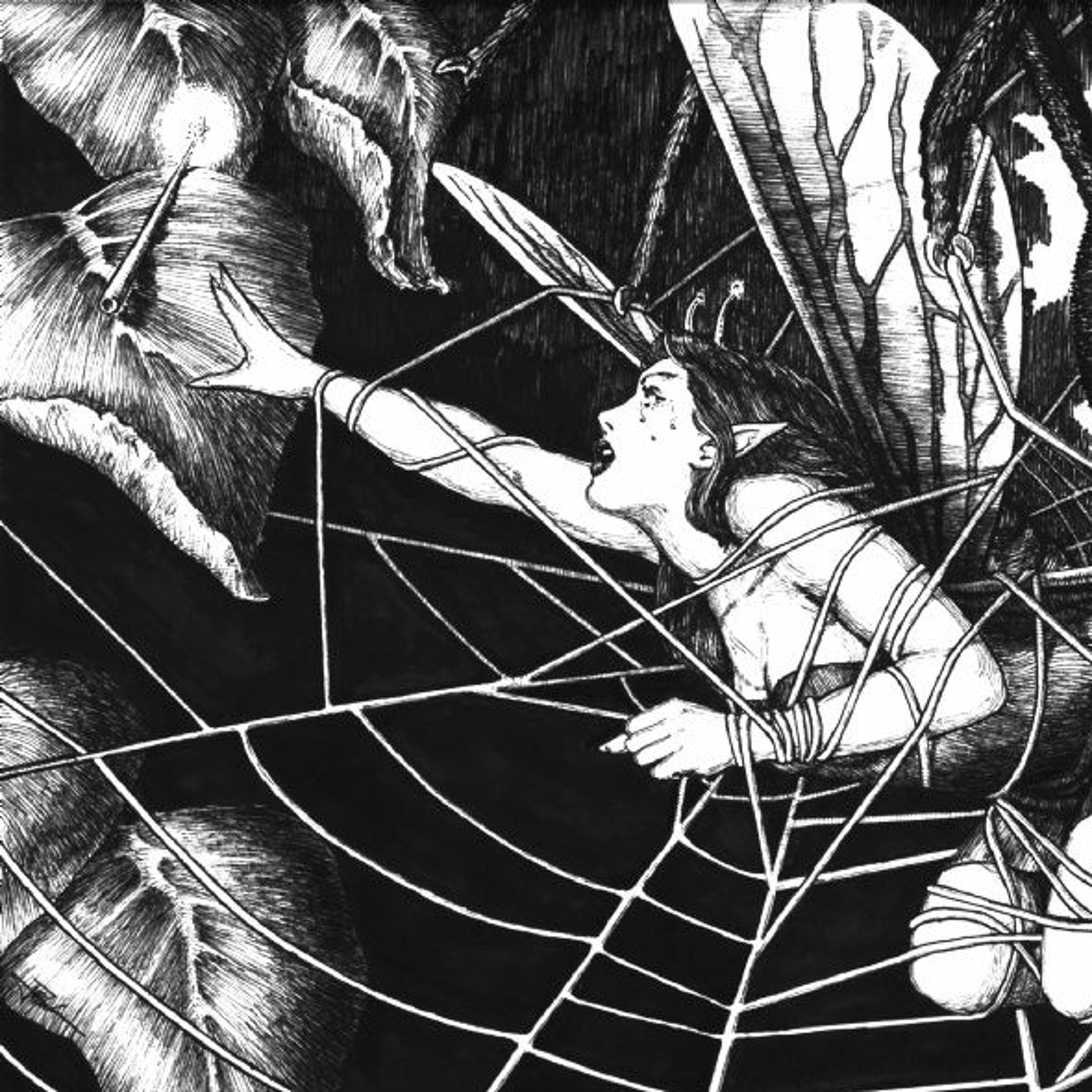 Entanglement episode artwork