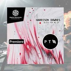 PREMIERE: Harrison Downes - Bleed For Me (Peter Groskreutz Remix) [Digital Diamonds]