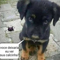 musgas frescas