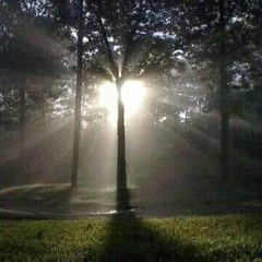 رؤية الباري|| مؤثر || للشيخ محمد الددو