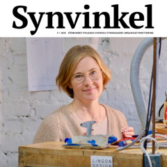 Synvinkel-nr5-2025