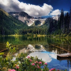 تمام زندگیمو به چشمای تودادم از سعید پورسعید