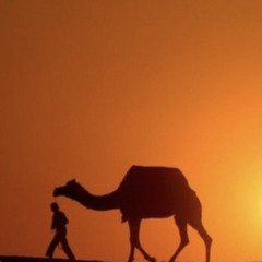Ofer Jaffe - Wandering In The Desert (MIX & MASTERING MEGATONE)