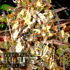amnesia haze (Prod. Ryu)
