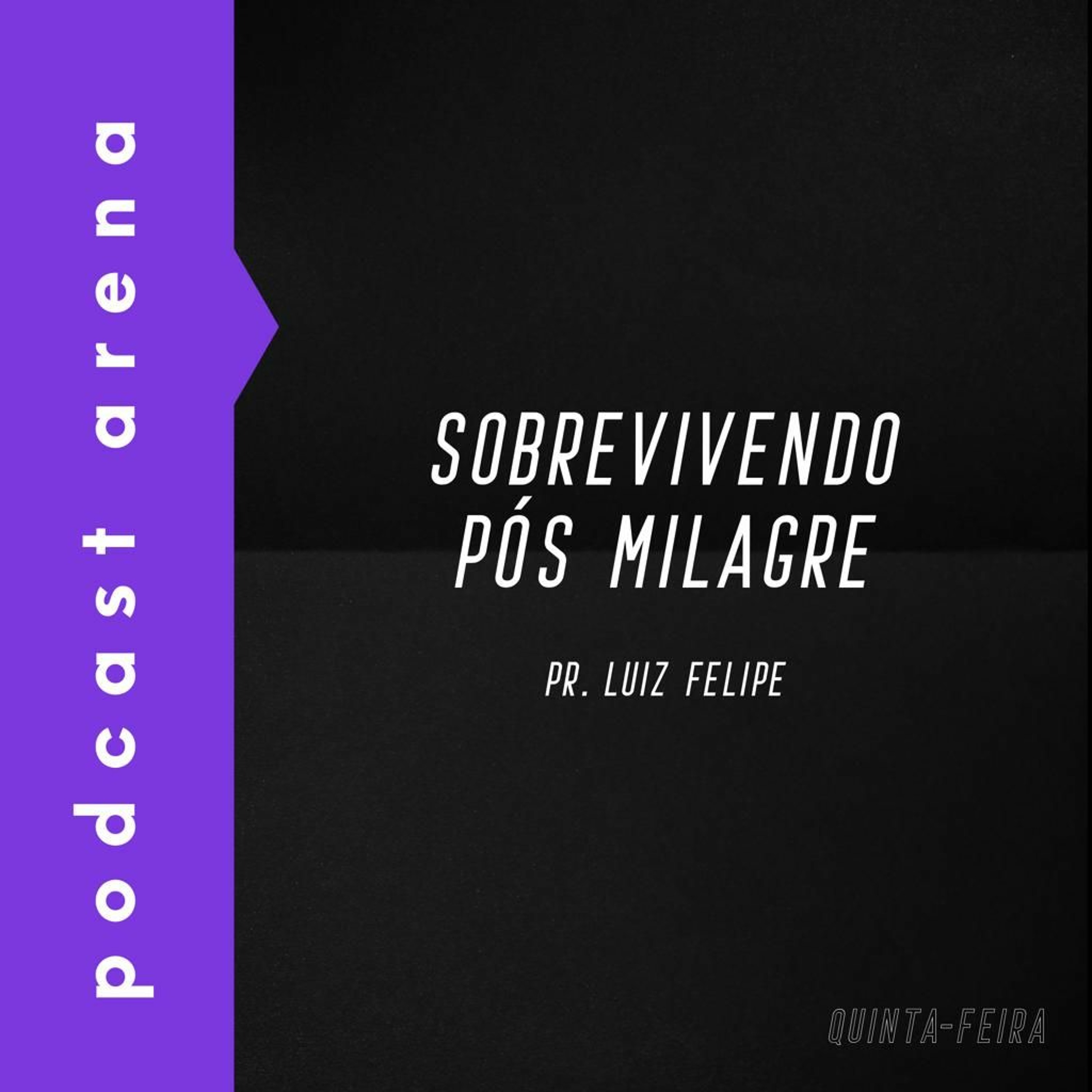 Sobrevivendo Pós Milagre - Pr. Luiz Felipe episode artwork