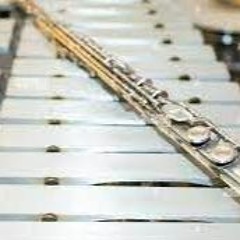 Duo for Flute and Percussion