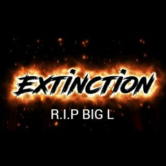R.I.P BIG L