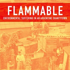 ⚡Read🔥Book Flammable: Environmental Suffering in an Argentine Shantytown