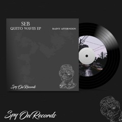 PREMIERE: Seb - Rainy Afternoon [Spy On Records]