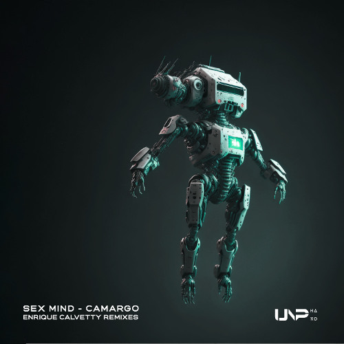 Sex Mind - Camargo (Enrique Calvetty Late Night Remix) [Preview]