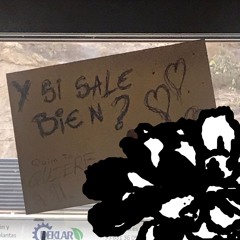 Y si sale bien?