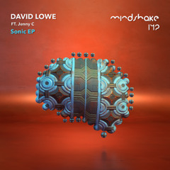 David Lowe - No!
