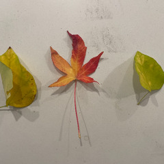 2025-10-31_22h42m48s