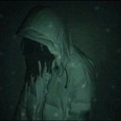 BEEZY KUSH - vpisalsy