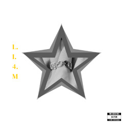 L.I.4.M pt5