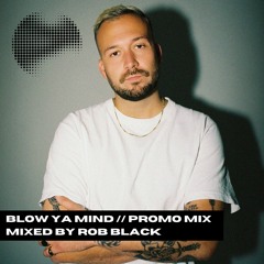 Blow Ya Mind // Promo Mix