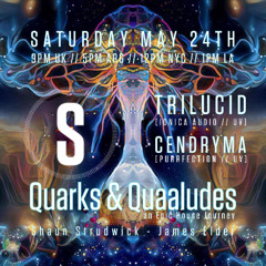 Q&Q May 2025 - Trilucid