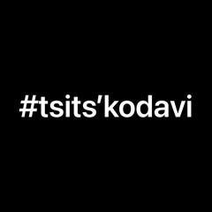 tsits`kodavi (feat. dapi4)