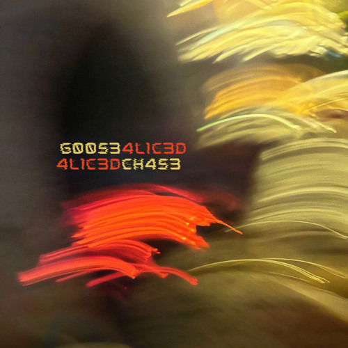 G00S3 CH4S3