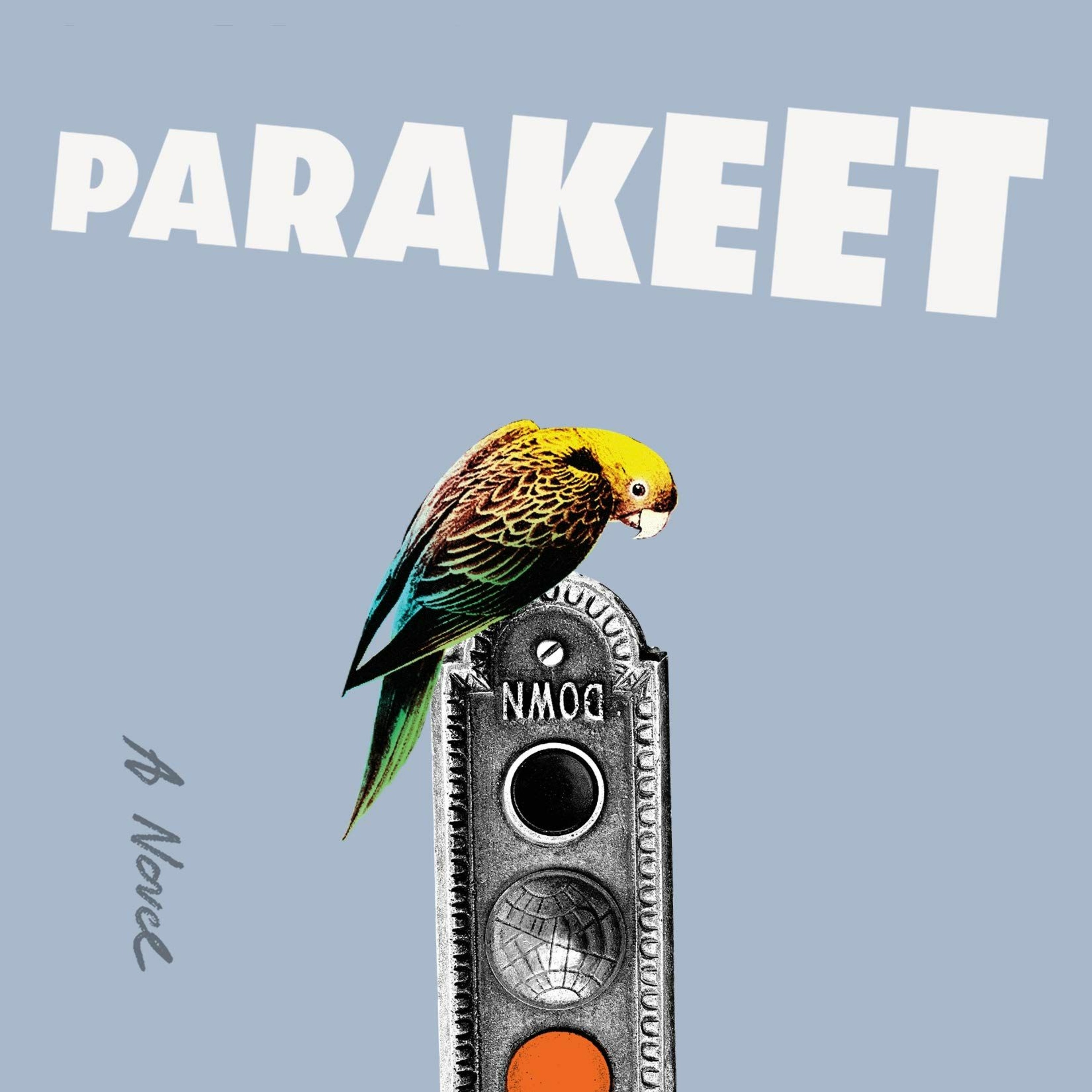 Parakeet by Marie-Helene Bertino episode artwork
