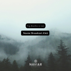 Naviar Broadcast #363 - Fog dissolves to rain – Wednesday 9th April 2025