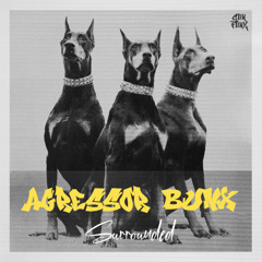 Agressor Bunx - Surrounded