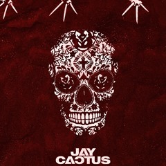 Jay Cactus - Not Playin