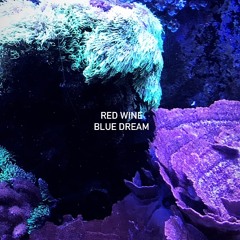 red wine, blue dream