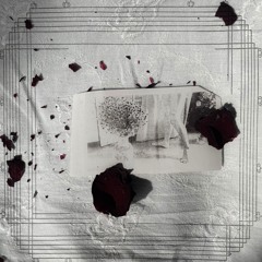 She placed her foot on my chest (Shota Iatashvili’s poem)