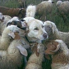 Don'tMentionIt!