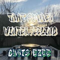 THAT SUMMER WINTER FEELING - (CHRIS EZEE MIX)