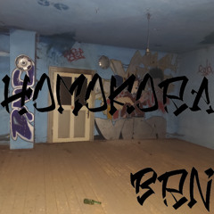 BRN-Homokóra