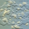 CoziMix 15 : como se DJ DJ mix artwork - Electronic music tracklist cover image