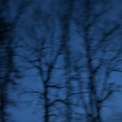 Ice On My Wrist [prod. Metlast]