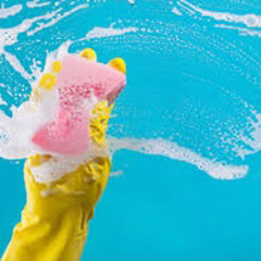 THE CLEANER (original mix)